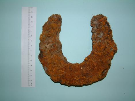 Corroded horseshoe next to ruler
