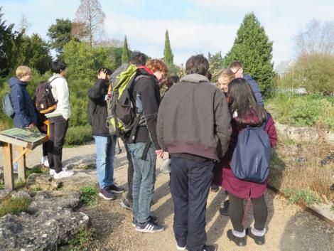 A group of St Catharine' students at the University of Cambridge Botanic Garden
