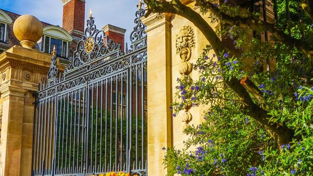 junior research fellowship cambridge 2023