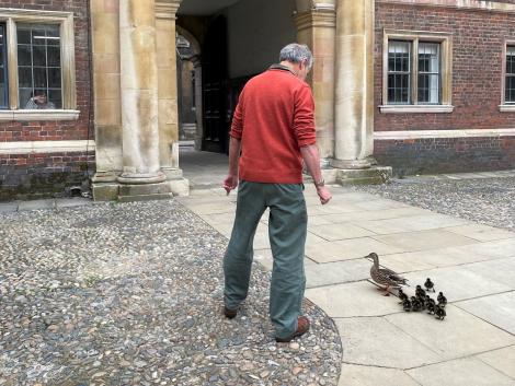 Professor Bill Sutherland herding ducks at St Catharine's College