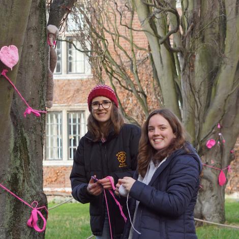 Students install the yarn-bombing for Pink Week 2022