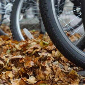 Close up of bicycle wheels with autumn leaves