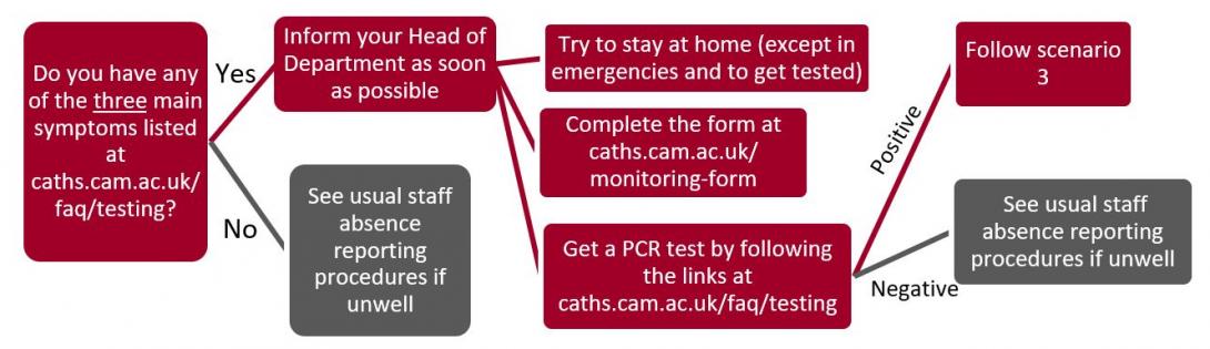 Flow diagram with advice for this scenario - please download PDF for screen-reader friendly version